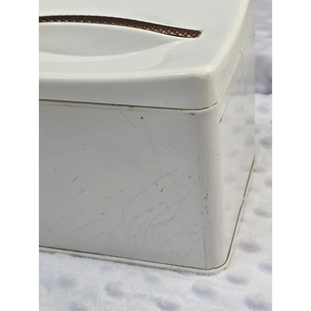 Vintage Ransburg Tin MCM Canister With Handle Hand Painted Tulip Replacement Box